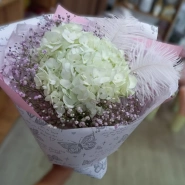 Гортензия с перьями 0