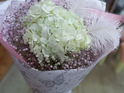 Гортензия с перьями