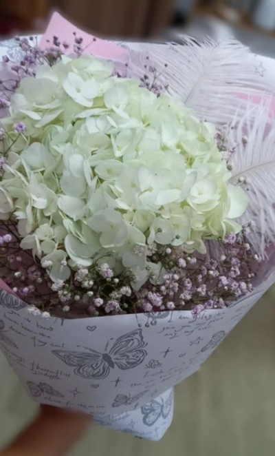 Гортензия с перьями