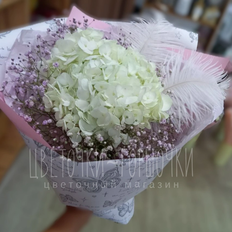 Гортензия с перьями