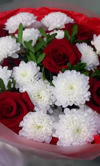 Элегантная классика