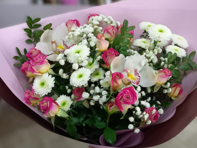 Нежные орхидеи