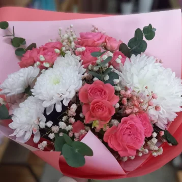 Коралловые мечты