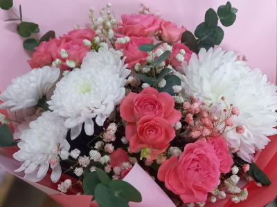 Коралловые мечты