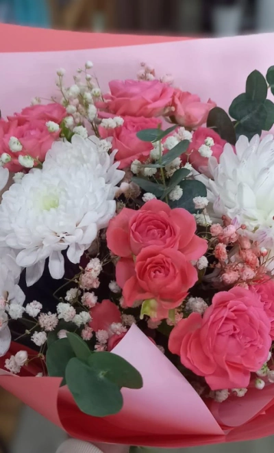 Коралловые мечты