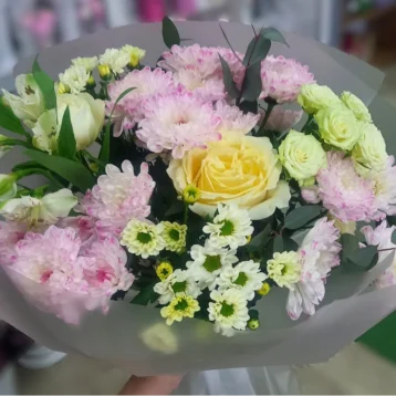 Нежные мечты