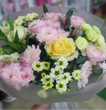 Нежные мечты