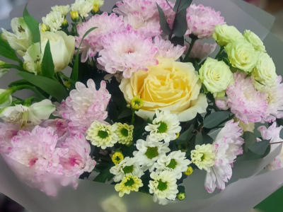 Нежные мечты