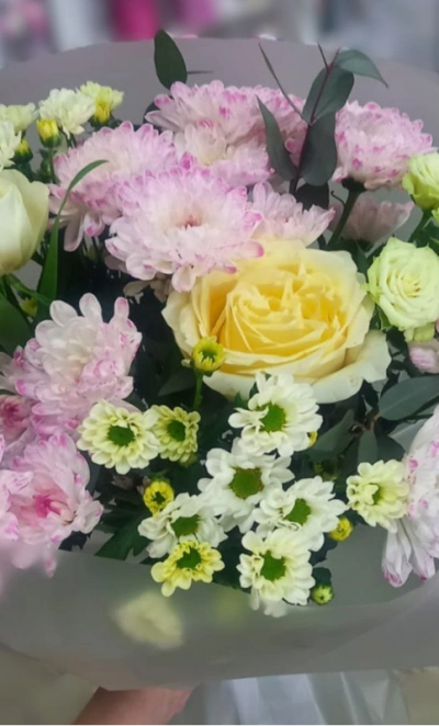 Нежные мечты