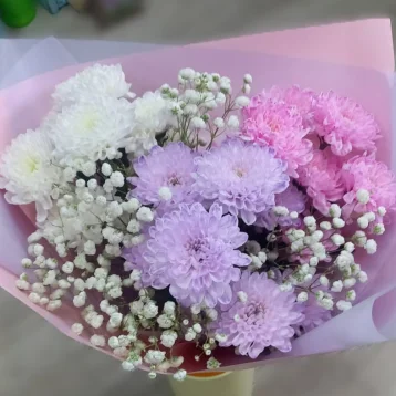 Хризантемы нежности