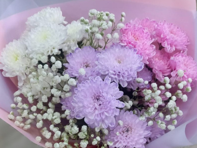 Хризантемы нежности