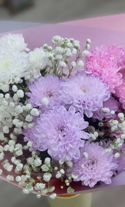 Хризантемы нежности