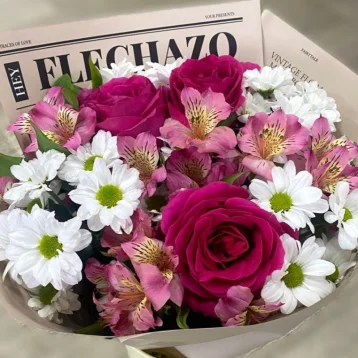 Летние мечты