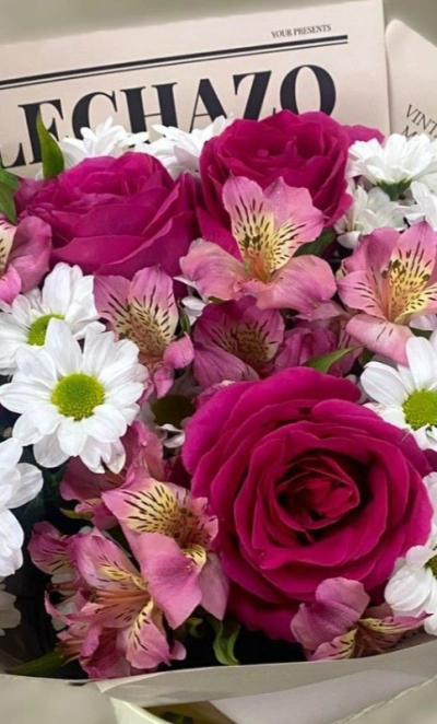 Летние мечты