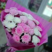 Розовые мечты 0