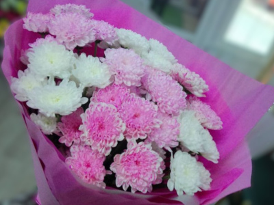 Розовые мечты