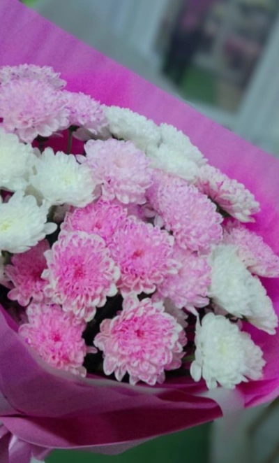 Розовые мечты