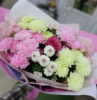 Девичьи мечты