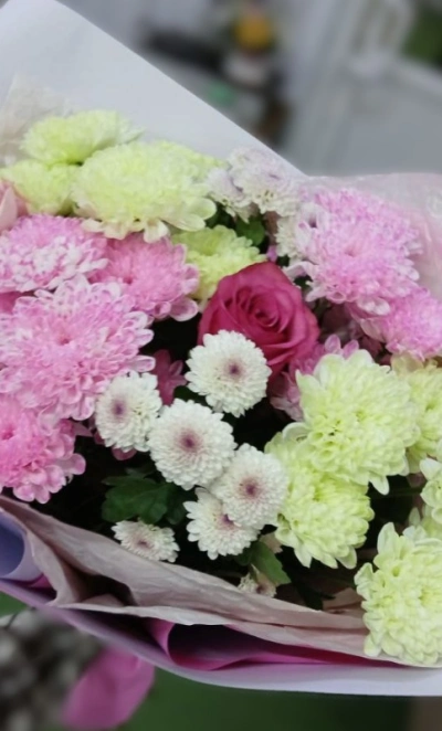 Девичьи мечты