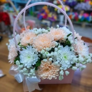 Очаровательная хризантема 0