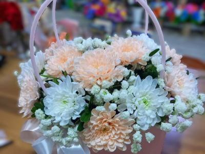 Очаровательная хризантема