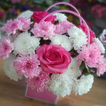 Чудесная мечта