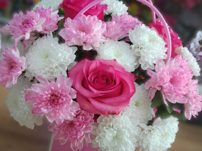 Чудесная мечта