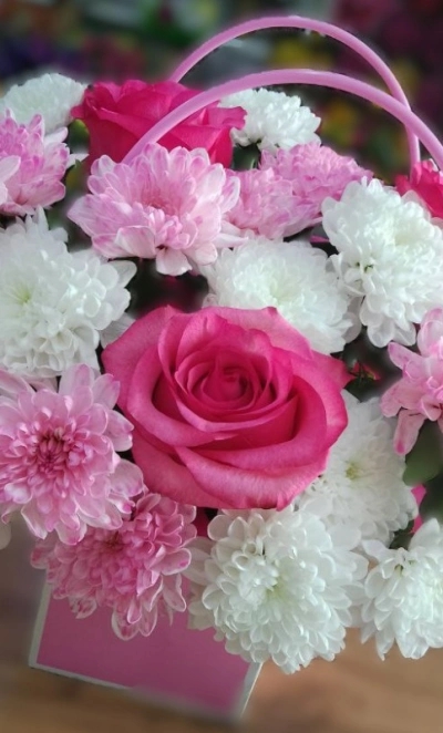 Чудесная мечта