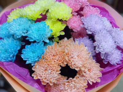 Яркие впечатления