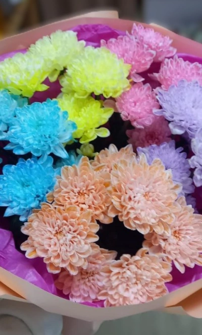 Яркие впечатления