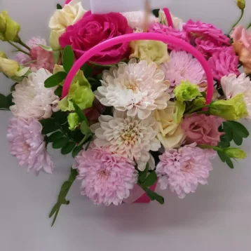 Радостные мгновения