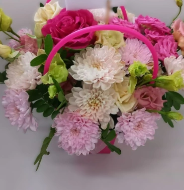 Радостные мгновения