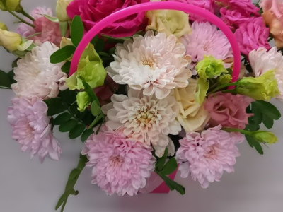 Радостные мгновения