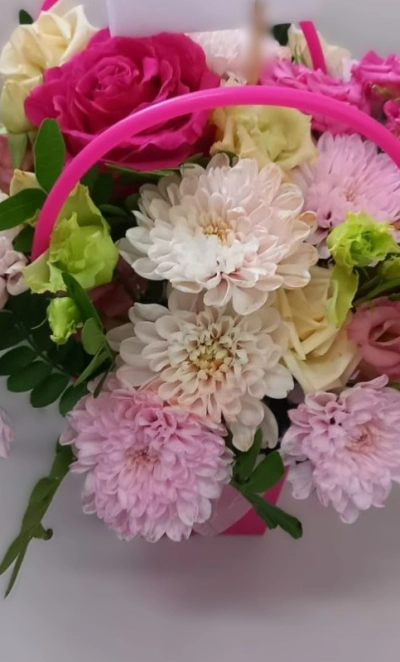 Радостные мгновения