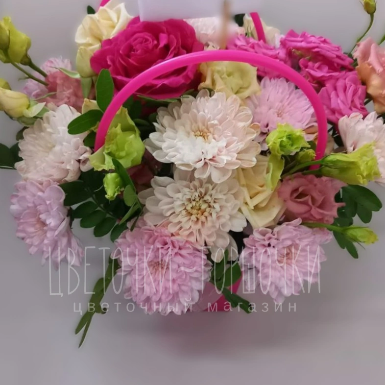 Радостные мгновения