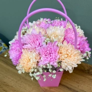 Милые хризантемы 0