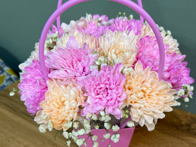 Милые хризантемы