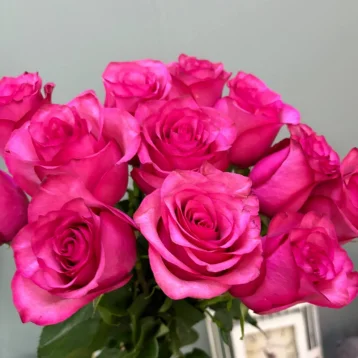 Роза розовая 1шт-300руб