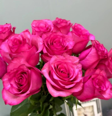 Роза розовая 1шт-300руб