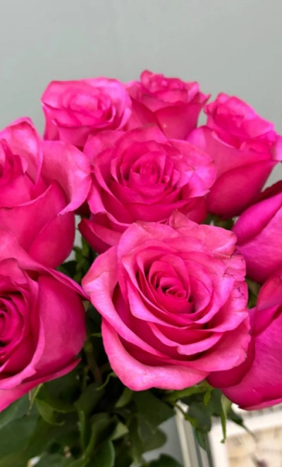 Роза розовая 1шт-300руб