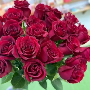 Роза красная-300руб 0