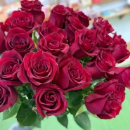 Роза красная-350руб 0