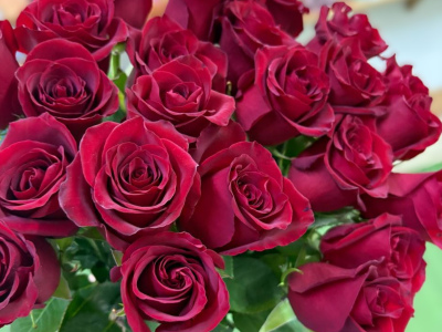 Роза красная-350руб