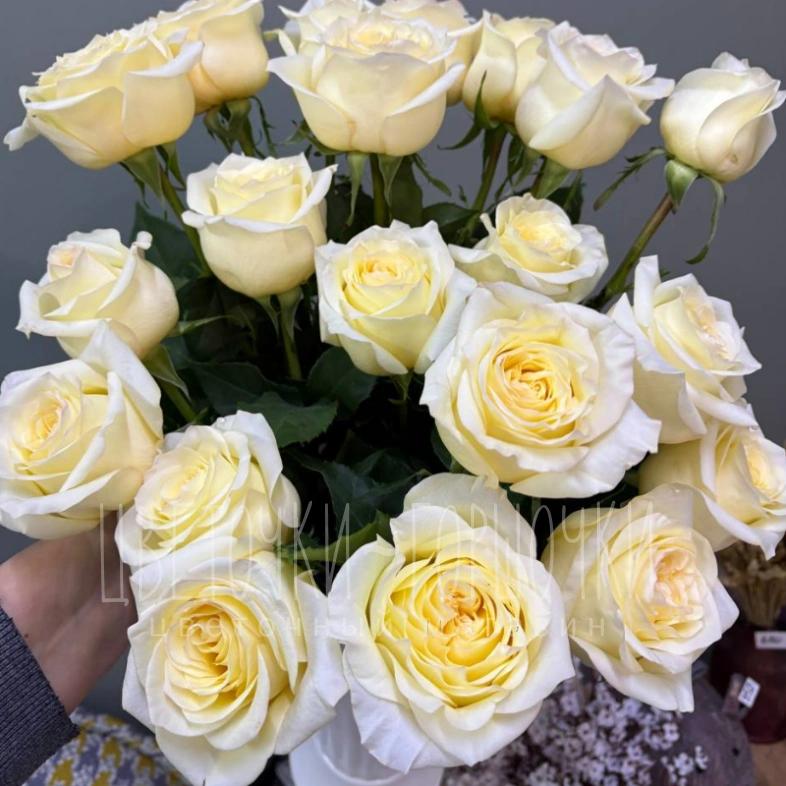 Пионовидная роза 1шт-350руб