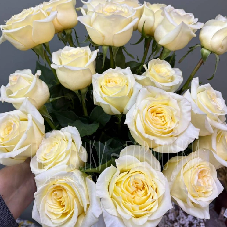 Пионовидная роза 1шт-350руб