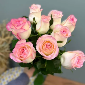 Роза Джумилия 1шт-220руб