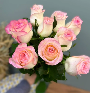 Роза Джумилия 1шт-220руб