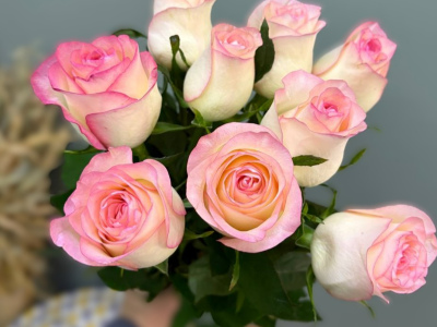 Роза Джумилия 1шт-220руб