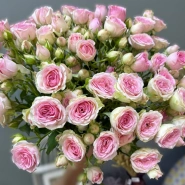 Роза кустовая 1шт-200руб 0