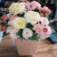 Нежное чуство 1